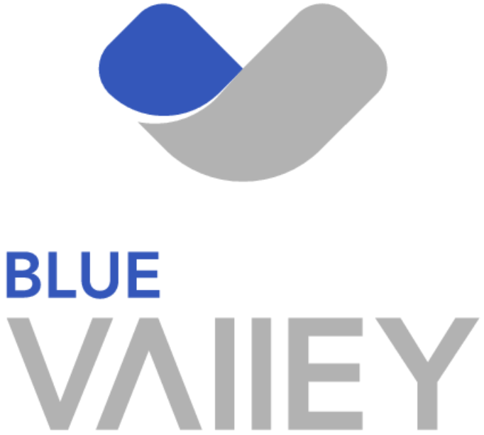 blue valley logo